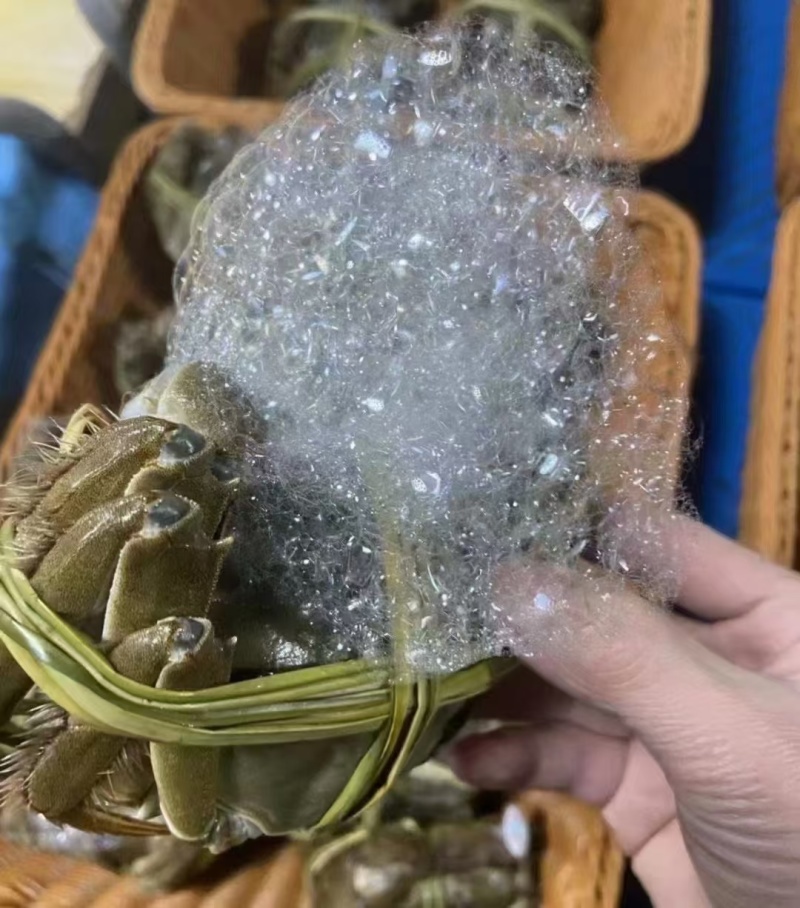 中秋特惠苏霸王1598型买二送一公4两母2.8两10只装