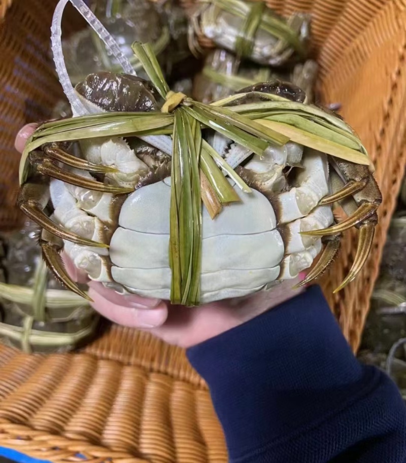 中秋特惠苏霸王1598型买二送一公4两母2.8两10只装
