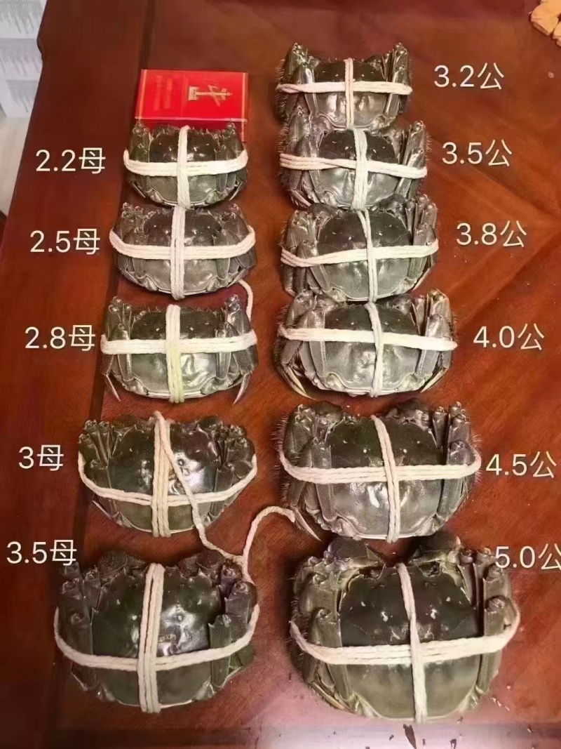 中秋特惠苏霸王1598型买二送一公4两母2.8两10只装