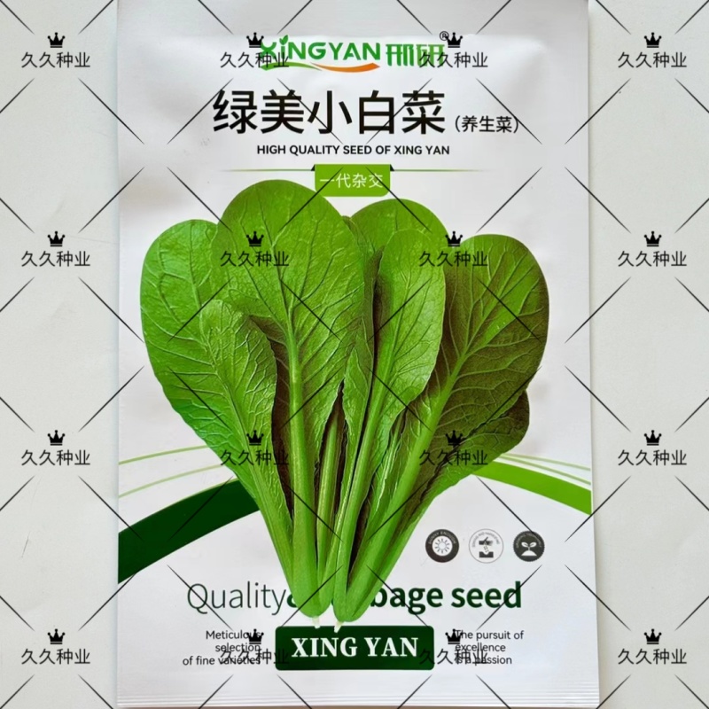绿美小白菜种子杂交养生菜青梗菜种籽抗病耐寒速生四季小青菜