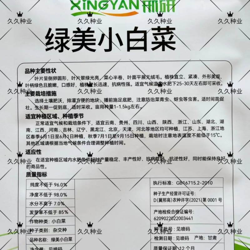 绿美小白菜种子杂交养生菜青梗菜种籽抗病耐寒速生四季小青菜