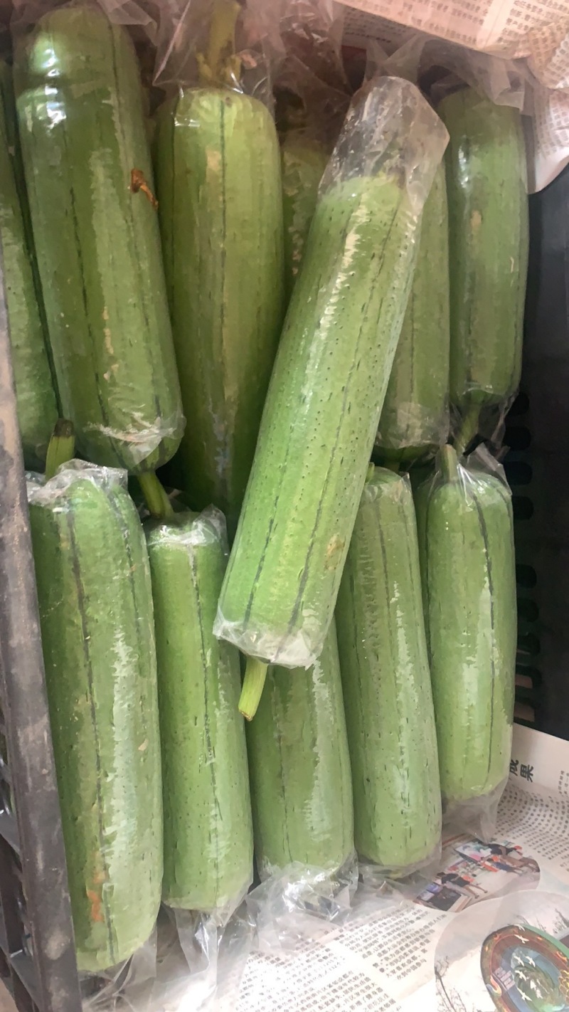 广西水瓜大量上市，欢迎老板