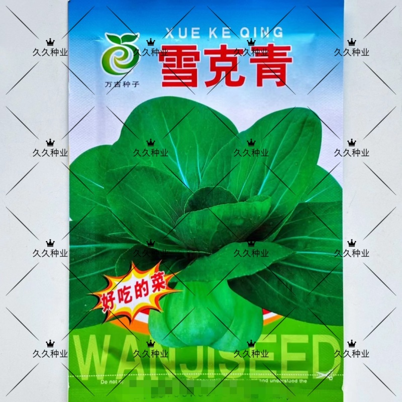 雪克青菜种子束腰墨绿叶青菜种子耐热耐寒青菜种子