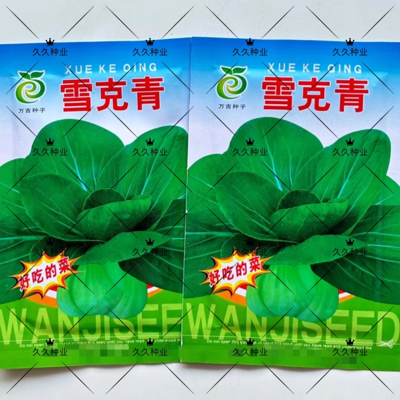 雪克青菜种子束腰墨绿叶青菜种子耐热耐寒青菜种子