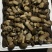 美味牛肝菌，今天是2024年九月十号，美味牛肝精品通货