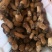 美味牛肝菌，今天是2024年九月十号，美味牛肝精品通货