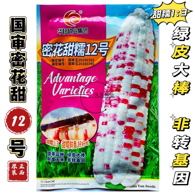 密花甜糯12号玉米种子甜加糯彩玉米种子鲜食大棒
