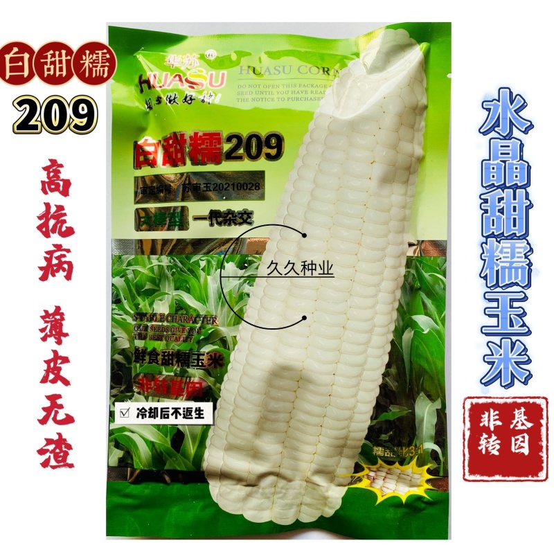 白甜糯209玉米种子高产四季播白糯玉米非转基因农家超甜加