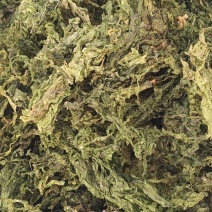 水洗昆布中药批发一手货量源量大忧惠全国发货