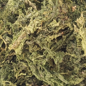水洗昆布中药批发一手货量源量大忧惠全国发货