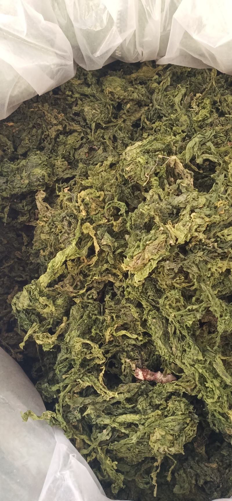 水洗昆布中药批发一手货量源量大忧惠全国发货