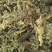 水洗昆布中药批发一手货量源量大忧惠全国发货