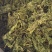 水洗昆布中药批发一手货量源量大忧惠全国发货