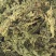 水洗昆布中药批发一手货量源量大忧惠全国发货