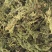 水洗昆布中药批发一手货量源量大忧惠全国发货