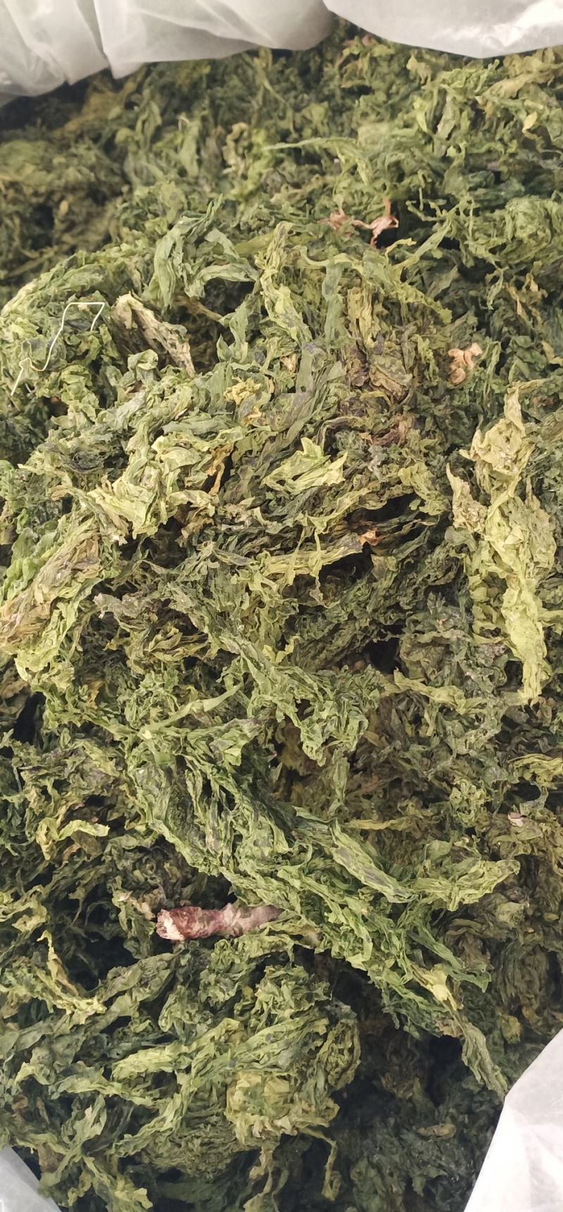 水洗昆布中药批发一手货量源量大忧惠全国发货