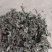 旱莲草干货中药材价格实惠量大欢迎老板联系