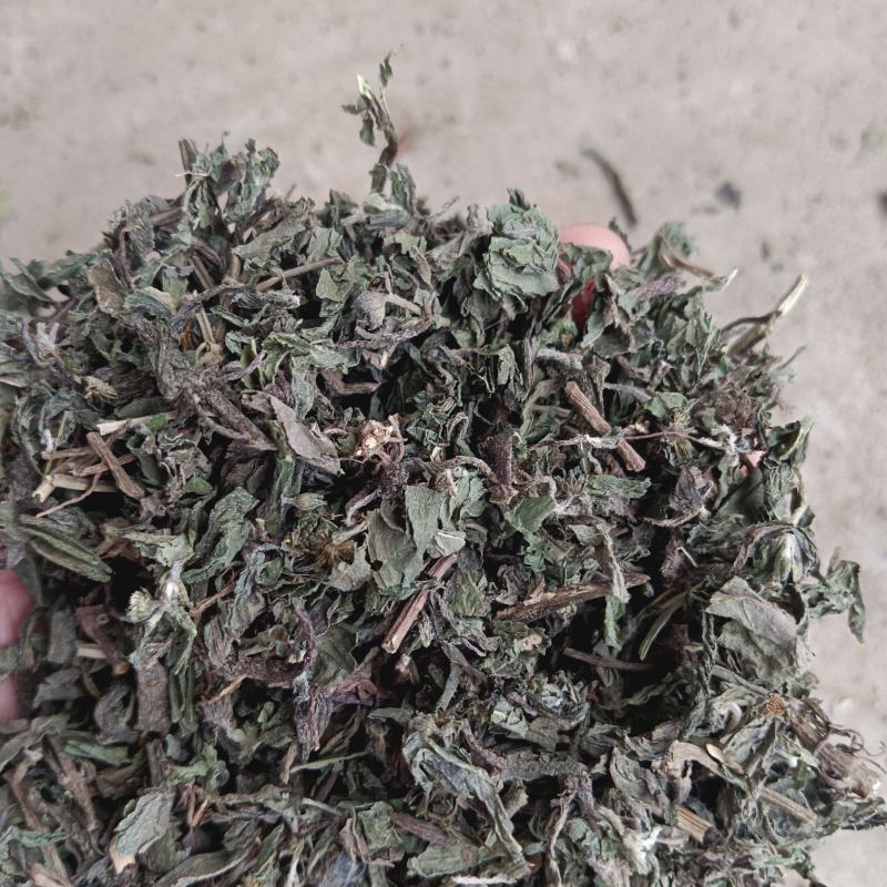 旱莲草干货中药材价格实惠量大欢迎老板联系