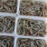 虾/小虾/小明虾/自家养殖直供/自助餐、火锅，酒店，餐厅适用