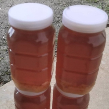 出售陕南土蜂蜜货源充足，量大从优欢迎订购