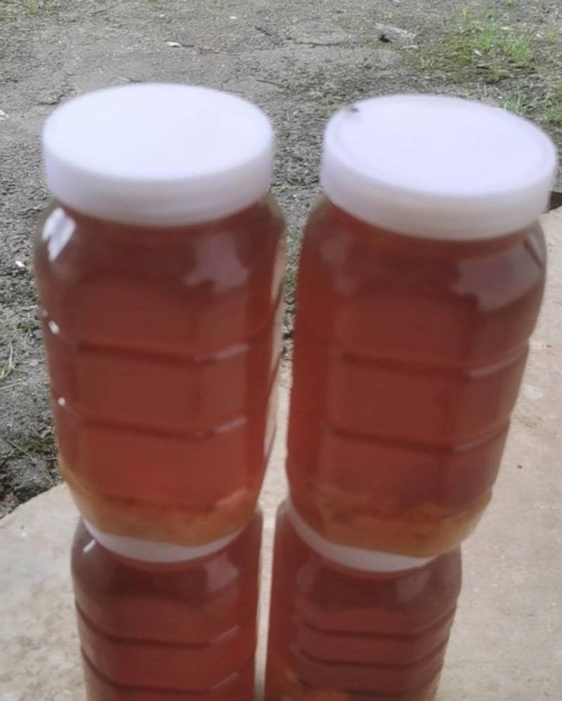 出售陕南土蜂蜜货源充足，量大从优欢迎订购