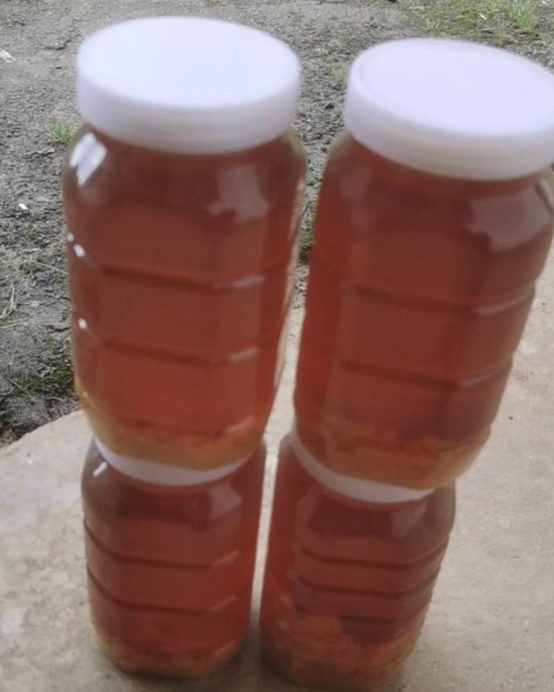 出售陕南土蜂蜜货源充足，量大从优欢迎订购