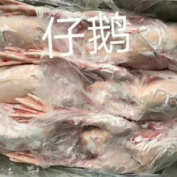 大鹅厂家直销量大从优