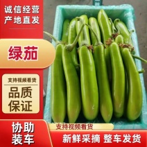 优质青茄，光亮，口感好，肉质细嫩，无籽颜色油绿