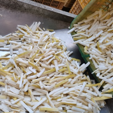 精品筛选笋条，不带边角料
