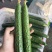 黄瓜