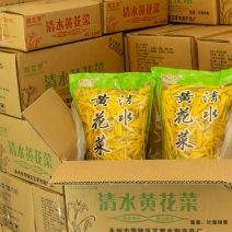 【批发】清水黄花菜自产自销支持代加工代发欢迎咨询