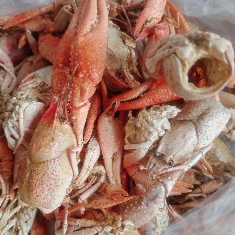 龙虾壳龙虾壳粉蛋白质33%饲料原料