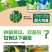 瓜果蔬菜高产肥料套装顺直拉长抗重茬黄瓜肥料厂家直销