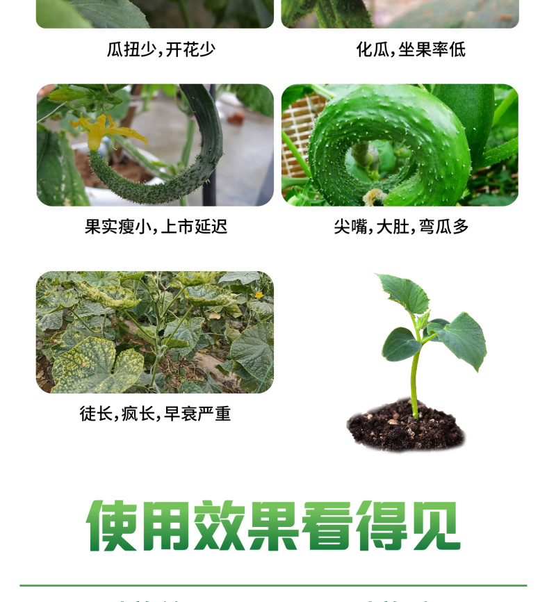 瓜果蔬菜高产肥料套装顺直拉长抗重茬黄瓜肥料厂家直销