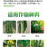 瓜果蔬菜高产肥料套装顺直拉长抗重茬黄瓜肥料厂家直销