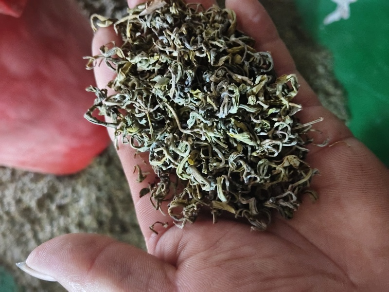 黄金芽手工茶