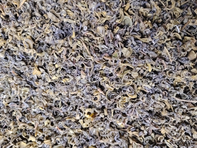 黄金芽手工茶