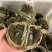 兴化湖北精品大闸蟹精品阳澄湖镇大闸蟹蟹农直销