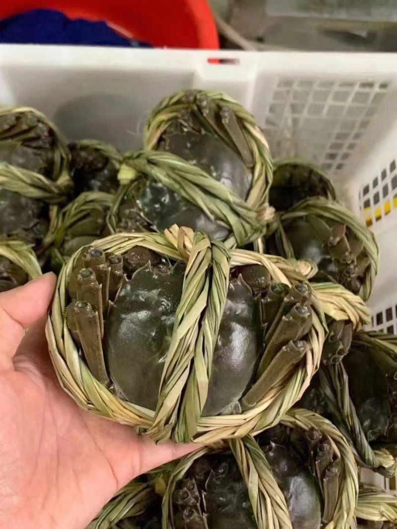 兴化湖北精品大闸蟹精品阳澄湖镇大闸蟹蟹农直销