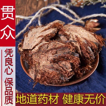 贯众贯节惯众中药材贯渠百头