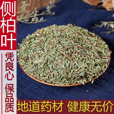 中药材正品野生侧柏叶侧伯叶粉扁柏叶新鲜干货洗发500g干