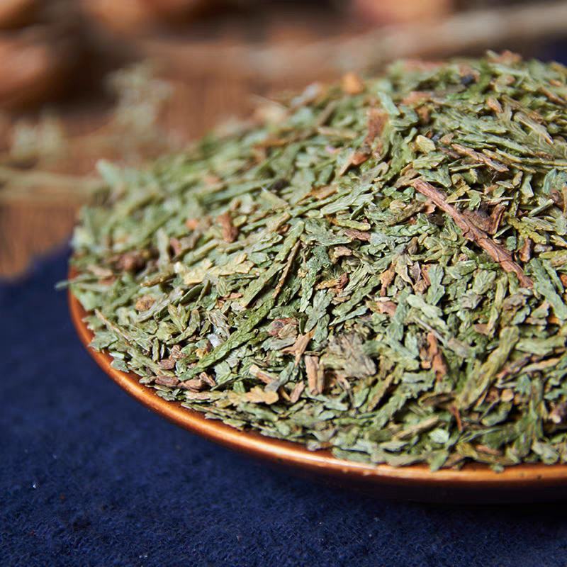 中药材正品野生侧柏叶侧伯叶粉扁柏叶新鲜干货洗发500g干