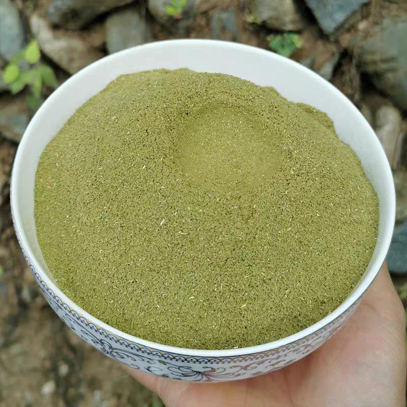 中药材正品野生侧柏叶侧伯叶粉扁柏叶新鲜干货洗发500g干