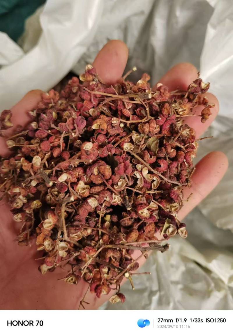 陕西大红袍色泽红亮，味道香麻浓厚，中下货，大红袍