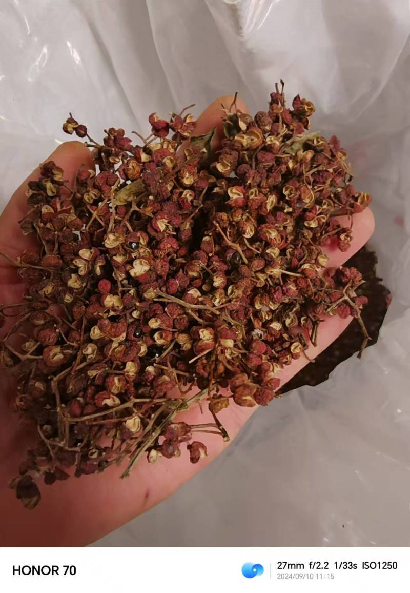 陕西大红袍色泽红亮，味道香麻浓厚，中下货，大红袍