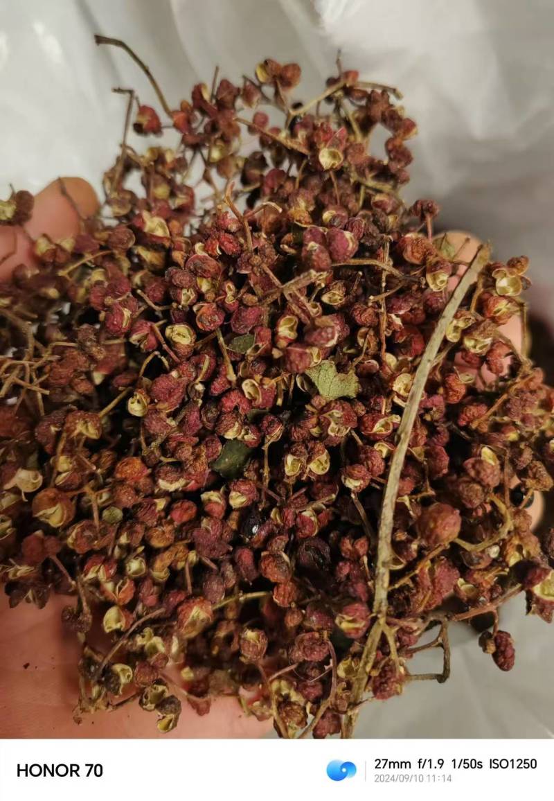 陕西大红袍色泽红亮，味道香麻浓厚，中下货，大红袍