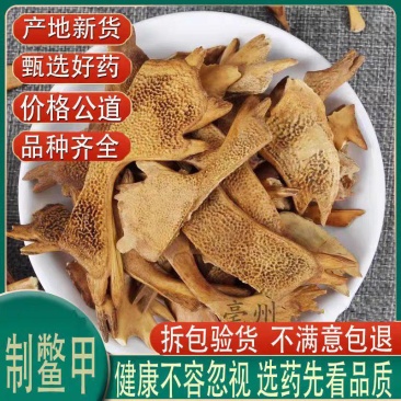 中药材正品新货制鳖甲炒鳖甲醋鳖甲打粉500g克精选炙鳖甲
