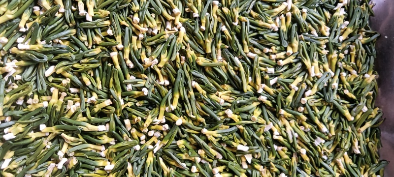 莲子芯大量供应，货源充足，保质保量对接全国市场，量大从优