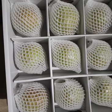 玉露香梨