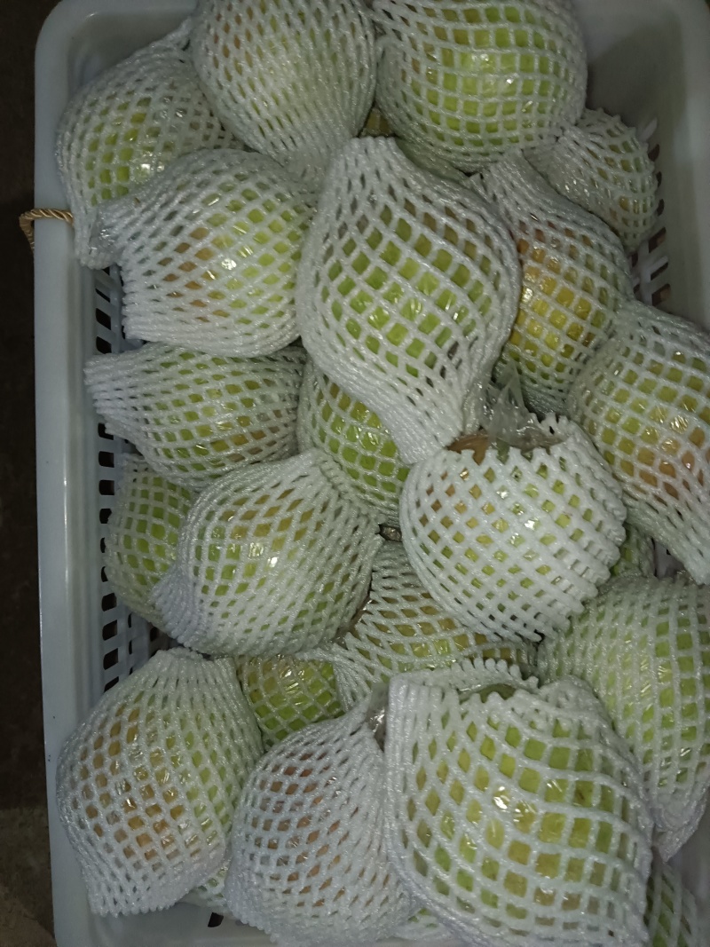 玉露香梨